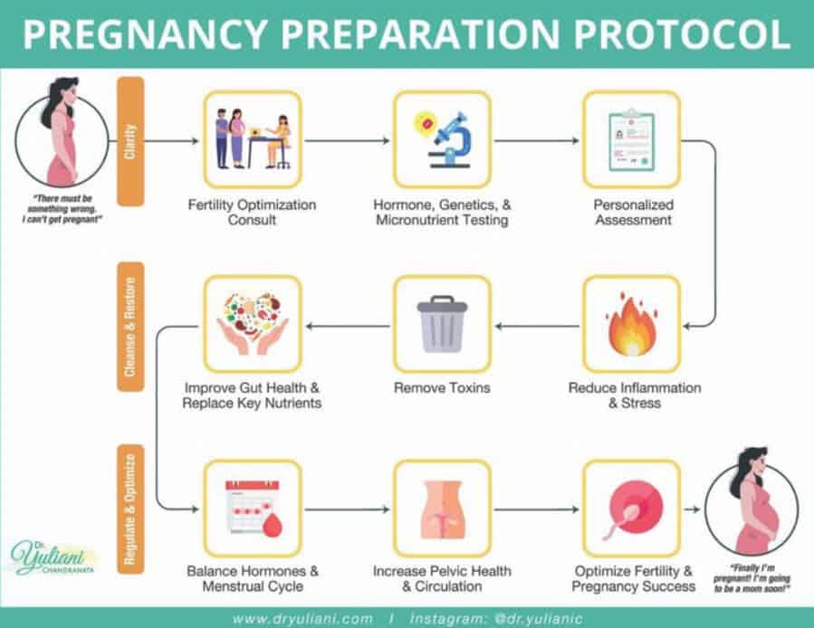 pregnancy preparation protocol